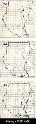 . Bonner zoologische Monographien. Zoologie. 43. 93 (175) Levant Accipiter brevipes H (9-4) UN W S rare probablement mieux savane boisée Remarques : Très probablement négligé ; noti- dec en adoption à l'Atbara (600) fin septembre (Christensen 1960) et Khor Baraka (30) fin avril (Nikolaus 1984 a)- parated se facilement à partir de la Blanche eurasienne car il migre en petites troupes, pas seul 94 grand fauve (174) Accipiter melanoleucus melanoleucus R NBR rare et savanes boisées et les lisières des forêts 95 peu familier (170) Accipiter mi-null min ul JE LM nous NBR rare abrus Banque D'Images