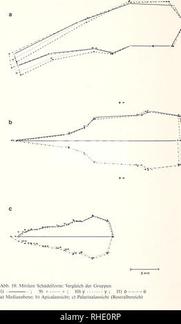 . Bonner zoologische Monographien. Zoologie. 56. Veuillez noter que ces images sont extraites de la page numérisée des images qui peuvent avoir été retouchées numériquement pour plus de lisibilité - coloration et l'aspect de ces illustrations ne peut pas parfaitement ressembler à l'œuvre originale.. Bonn, Zoologisches Forschungsinstitut und Museum Alexander Koenig Banque D'Images