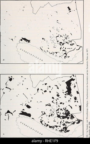 . Bonner zoologische Monographien. Zoologie. 17. Veuillez noter que ces images sont extraites de la page numérisée des images qui peuvent avoir été retouchées numériquement pour plus de lisibilité - coloration et l'aspect de ces illustrations ne peut pas parfaitement ressembler à l'œuvre originale.. Bonn, Zoologisches Forschungsinstitut und Museum Alexander Koenig Banque D'Images