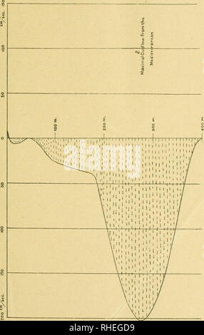 . Bollettino. R. Comitato italiano talassografico ; océanographie ; océanographie ; océanographie. (85) 121. Veuillez noter que ces images sont extraites de la page numérisée des images qui peuvent avoir été retouchées numériquement pour plus de lisibilité - coloration et l'aspect de ces illustrations ne peut pas parfaitement ressembler à l'œuvre originale.. R. Comitato italiano talassografico ; Società italiana per il progresso delle Scienze. Roma : il Comitato Banque D'Images