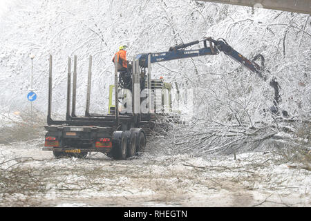 Arbres mis à terre par le poids de la neige sont effacés de Walderslade Woods Road, dans la région de Walderslade, Kent, qui devrait être fermé toute la semaine. Les automobilistes ont été bloqués pour une deuxième nuit comme de fortes chutes de neige ont recouvert les routes et l'hiver a apporté le trafic à l'arrêt. Neige et continué dans les premières heures du samedi matin sur les routes à travers le Kent et le Hampshire, et causant des conditions dangereuses. Banque D'Images