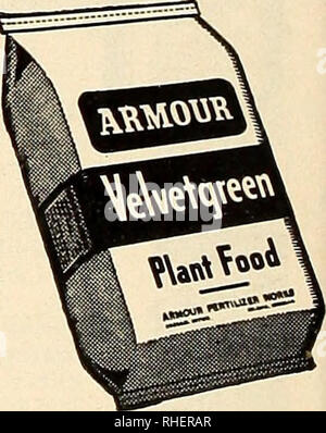 . Bolgiano's capitol city seeds : 1889 1949. Pépinières (Horticulture) ; catalogues de bulbes (plantes) ; Catalogues Catalogues légumes ; outils de jardin ; Catalogues Catalogues de graines. L'état de traces est soluble dans l'eau, une installation complète de la nourriture pour fleurs, légumes, pelouses, arbustes et d'arbres. Il fournit des oligo-éléments essentiels à la plante en croissance de concert avec le cadre éléments fertilisants : azote, phosphore et potassium. Il peut être appliqué facilement par dissolution dans l'eau utilisée pour arroser les pots de fleurs, des jardins et pelouses. Lb. $1.00. VELVETGREEN une haute qualité, sci- entifically mélangé et équilibrée des aliments d'origine végétale Banque D'Images