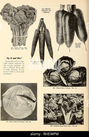 . Bolgiano's capitol city seeds : 1954. Pépinières (Horticulture) ; catalogues de bulbes (plantes) ; Catalogues Catalogues légumes ; outils de jardin ; Catalogues Catalogues de graines. . Veuillez noter que ces images sont extraites de la page numérisée des images qui peuvent avoir été retouchées numériquement pour plus de lisibilité - coloration et l'aspect de ces illustrations ne peut pas parfaitement ressembler à l'œuvre originale.. F. W. Bolgiano &AMP ; Co ; Henry G. Gilbert Pépinière et du commerce de semences Catalogue Collection. Washington, D. C. : F. W. Bolgiano Banque D'Images