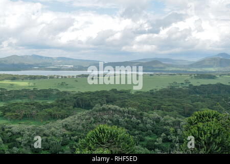 Dans le contexte de la vallée volcanique du mont Longonot, Naivasha, Kenya Banque D'Images