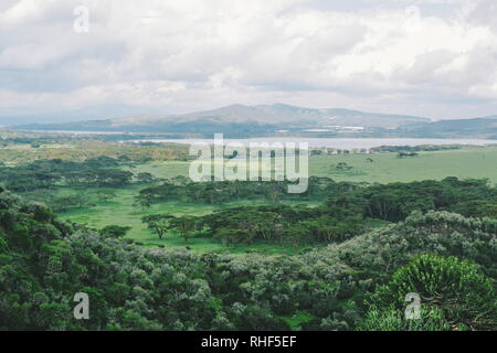 Dans le contexte de la vallée volcanique du mont Longonot, Naivasha, Kenya Banque D'Images