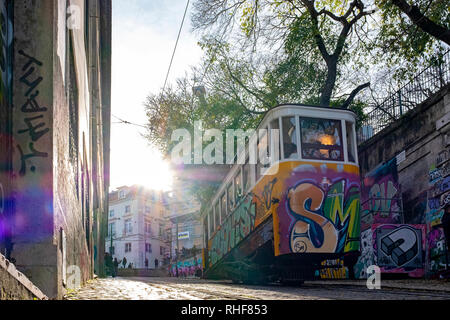 Les tramways de Lisbonne descendre une pente raide à côté de maisons traditionnelles Banque D'Images