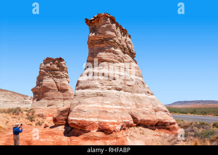 Pieds d'éléphants, près de Monument Valley Banque D'Images