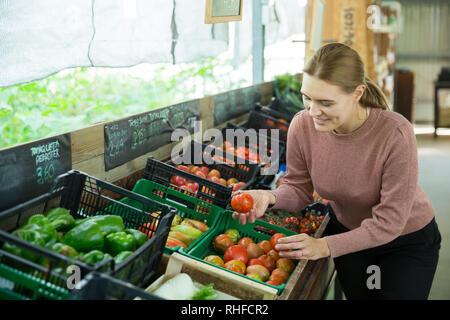 Souriante jeune femme choisissant les tomates en épicerie Banque D'Images