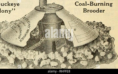 . Bolgiano's capitol city seeds : 1929. Pépinières (Horticulture) ; catalogues de bulbes (plantes) ; Catalogues Catalogues légumes ; outils de jardin ; Catalogues Catalogues Catalogues de graines de fleurs ; volaille ; catalogues de fournitures et de matériel. L'éleveuse colonie Newtown Newtown est l'original de la combustion du charbon, de l'alimentation, la colonie d'auto-régulation-couveuse la machine qui a révolutionné l'élevage de volailles, qui a été imité mais jamais égalé. Grâce à des années de tests pratiques et l'utilisation dans toutes les con- ditions qu'il a été porté à un point de perfection dans les détails de construc- t i o n. Le Newtown n'est pas un Banque D'Images