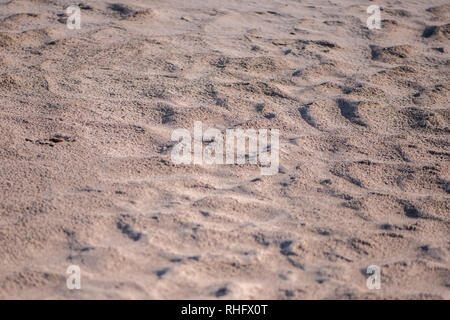 Décentreriez résumé fond sable. La texture du sable sur tropical resort Banque D'Images