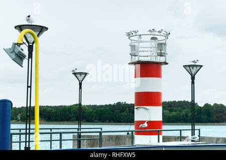 Phare rouge et blanc, les mouettes au phare, le phare sur la jetée Banque D'Images