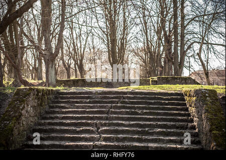 Ancien escalier de pierre à l'extérieur parmi les arbres couverts de mousse dans la forêt au printemps Banque D'Images