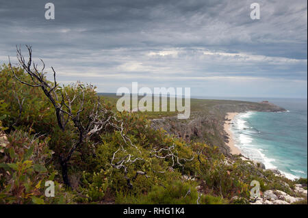 Vue générale de Remarkable Rocks, Kangaroo Island, Australie du Sud, Australie Banque D'Images