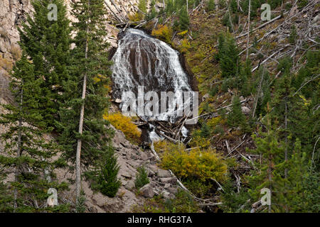 WY03127-00...WYOMING - Wraith Falls situé à côté de la Grand Loop Road dans le Parc National de Yellowstone. Banque D'Images