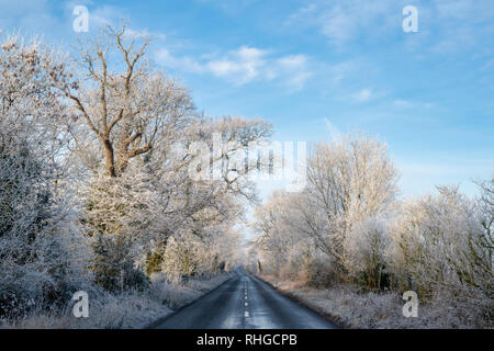 Givre sur une route bordée d'cotswold en janvier. Près de Burford, Oxfordshire Gloucestershire frontière, Arles, France Banque D'Images