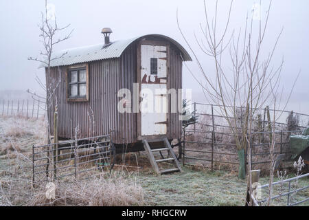 Frosty bergers hut dans un champ près du village de Swinbrook, Cotswolds, Oxfordshire, Angleterre Banque D'Images