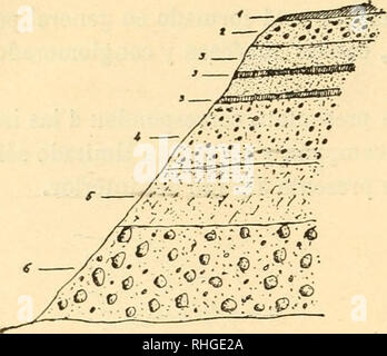 . BoletÃ-n de la Sociedad España±ola de Historia Natural. L'histoire naturelle. 400 BOLETÃN ESPAÃOLA DE LA REAL SOCIEDAD. Â //&gt;â . ["O. 'Â .^^ : '"â'Â°.^ ^^'â â â Qâ:Une conlinuaciÃ³n se hace una ligera descripciÃ³n de cada capa^ geolÃ³gicos y en los Cortes se hacen indications necesarias. Gomo generalidades sobre las capas, pueden las siguientes consideraciones ancre : En la Loma de San Fran- cisco existe una formaciÃ³n conglomerado de fino que tiene mÃ¡s de vingt mètres de espesor, y en ella se de- ternan muy delgadas capas de arena silÃ-cea muy fina. Entre las tobas obscuras Y'i^ Banque D'Images