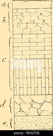 . BoletÃ-n de la Sociedad España±ola de Historia Natural. L'histoire naturelle. BOLETÃN 278 DK LA Lévis LÉVIS-AL-ESPAÃOLA SOCIEDAD apeadero de este, observaremos ChinchÃ³n nombre y en las trincheras nu- merosas abiertas en el llamado Barranco del Infier- pas un hecho curioso : el de que las calizas superiores se apo- yan directamente en las arcillas-yesÃ Rémi, sin el enlace del subpiso superior del piso del medio, subpiso que no aparece el ni mÃ¡s lig-ero indicio. El desarrollo mÃ¡s completo y con mÃ¡s espesor del tramo de las calizas se obser en las canteras de Colmenar de Oreja, dando de Ã©l una idée b Banque D'Images