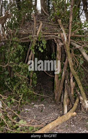 Un den construit dans un bois Banque D'Images