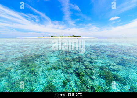 Les récifs coralliens de la mer des caraïbes, le bleu turquoise de l'eau. Le Parc National de Wakatobi Sulawesi en Indonésie. Haut de la page voyage destination touristique, la meilleure plongée snorke Banque D'Images