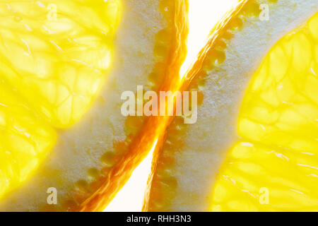 Les tranches d'orange sur fond blanc. Brille à travers. Macro Image d'orange mûre pour l'arrière plan. Banque D'Images