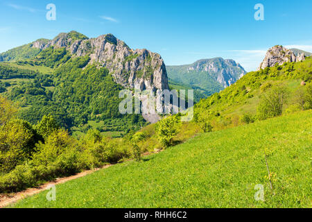 Montagnes de Roumanie avec des falaises au-dessus de la vallée étroite. Paysage avec des formes inhabituelles. beau paysage printemps. vue de Grassy hill Banque D'Images