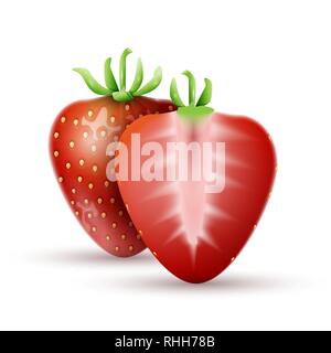 Fraise entière et une demi-fraise. Illustration vectorielle, EPS 10 Illustration de Vecteur