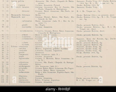 . Boletim do Museu Goeldi (Museu Paraense) de Historia Natural e Ethnographia. L'histoire naturelle, de l'Ethnologie. . Veuillez noter que ces images sont extraites de la page numérisée des images qui peuvent avoir été retouchées numériquement pour plus de lisibilité - coloration et l'aspect de ces illustrations ne peut pas parfaitement ressembler à l'œuvre originale.. Museu Goeldi. Pará, Brésil : Estabelecimento Graphice de C. Wiegandt Banque D'Images