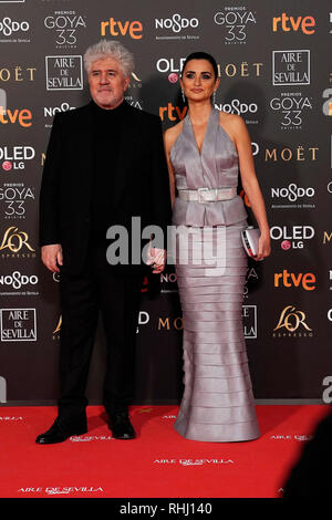 Sevilla, Espagne. Feb 2019 2ème. Penélope Cruz et Pedro Almodovar assiste à Goya Awards 2019 Cinéma au centre des conférences et des expositions Fibes. Credit : SOPA/Alamy Images Limited Live News Banque D'Images