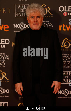 Sevilla, Espagne. Feb 2019 2ème. Pedro Almodovar assiste à Goya Awards 2019 Cinéma au centre des conférences et des expositions Fibes. Credit : SOPA/Alamy Images Limited Live News Banque D'Images