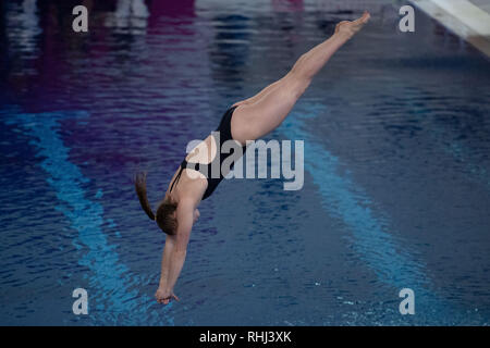 Plymouth, au Royaume-Uni. 3 2019. Kavleigh Sinclair - PLYM en 3M Femmes lors de la plongée sous-marine nationale préliminaire Cup 2019 à Plymouth Life Centre le dimanche, 03 février 2019. PLYMOUTH EN ANGLETERRE. (Usage éditorial uniquement, licence requise pour un usage commercial. Aucune utilisation de pari, de jeux ou d'un seul club/ligue/dvd publications.) Crédit : Taka G Wu/Alamy News Crédit : Taka Wu/Alamy Live News Banque D'Images