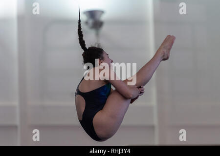 Plymouth, au Royaume-Uni. 3 2019. Holly Waxman - froid 3M Femmes lors de la plongée sous-marine nationale préliminaire Cup 2019 à Plymouth Life Centre le dimanche, 03 février 2019. PLYMOUTH EN ANGLETERRE. (Usage éditorial uniquement, licence requise pour un usage commercial. Aucune utilisation de pari, de jeux ou d'un seul club/ligue/dvd publications.) Crédit : Taka G Wu/Alamy News Crédit : Taka Wu/Alamy Live News Banque D'Images