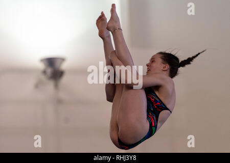 Plymouth, au Royaume-Uni. 3 2019. Millie Fowler - Les femmes dans l'OCSD préliminaire 3M au cours de la National de plongée Cup 2019 à Plymouth Life Centre le dimanche, 03 février 2019. PLYMOUTH EN ANGLETERRE. (Usage éditorial uniquement, licence requise pour un usage commercial. Aucune utilisation de pari, de jeux ou d'un seul club/ligue/dvd publications.) Crédit : Taka G Wu/Alamy News Crédit : Taka Wu/Alamy Live News Banque D'Images