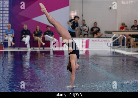 Plymouth, au Royaume-Uni. 3 2019. Kavleigh Sinclair - PLYM en 3M Femmes lors de la plongée sous-marine nationale préliminaire Cup 2019 à Plymouth Life Centre le dimanche, 03 février 2019. PLYMOUTH EN ANGLETERRE. (Usage éditorial uniquement, licence requise pour un usage commercial. Aucune utilisation de pari, de jeux ou d'un seul club/ligue/dvd publications.) Crédit : Taka G Wu/Alamy News Crédit : Taka Wu/Alamy Live News Banque D'Images