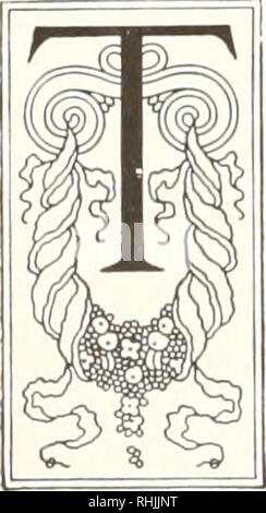 . Oiseaux d'Amérique ;. Les oiseaux -- Amérique du Nord. TROPIC OISEAUX-Steganopodes PhaetJwntidcr Ordre Famille ; il Tropic-bird enregistre de la flambée prolongée, souvent à grande hauteur, et, comme elle l'était, en l'chemin du soleil, a suggéré à Linn^-nous son nom de famille'ethontidcc Pha, qui fait référence à l'histoire mythologique grec de Phaeton, le fils d'Hélios, le dieu soleil, qui induit son père de le laisser tenter de conduire le char du soleil dans le ciel, mais a perdu le contrôle des chevaux et la terre brûlée par conduire trop près d'elle, c'est pourquoi, il a été tué par un boulon- Tonnerre de Zeus. Le Tropic-bi Banque D'Images