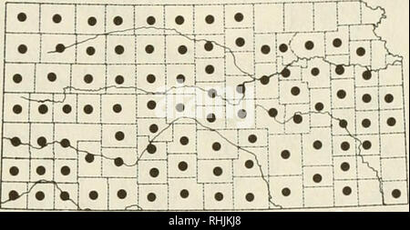 . Les oiseaux dans le Kansas. Les oiseaux -- Identification du Kansas. 167 les faucons et les aigles. Faucon des prairies Falco mexicanus (Schlegel) Statut : Le Faucon des prairies est un résident de l'hiver peu commune dans l'ouest et est rare dans l'Est. C'est décontracté en été dans l'ouest, où la nidification est soupçonné mais pas encore documenté. Période d'Occurrence : ce faucon est un résident régulier dans l'ouest du début de septembre à la fin mars et se retrouve par hasard à l'été. Elle se produit vers l'est en nombre décroissant, principalement à partir de mi-novembre à mi-mars. Reproduction : l'espèce peut nicher, au moins occasionnellement, dans les badlands de l'ouest Banque D'Images