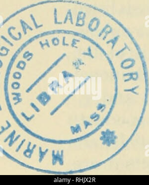 . Sciences biophysiques. La biophysique. 454 La base moléculaire de l'influx nerveux /24 : 4. £k  = iK"4 0 &Lt ; n &Lt ; 1 (HI) dn dt  = "n  (un  + fin)*1 (H2) §, Na  = gN&amp;m3h 0 &Lt ; m '10 - 1) ah = 0,07^'20 j8m  = 4eV118 j8h  = ("ou  + 8"&gt ;)/io  + l)-i B. Ces valeurs sont toutes à 6°C. Les constantes tous augmenter environ trois fois pour une montée en température de 10° (Qi0  = 3). C. Il est douteux que les formes de a et /3 n'ont aucune pertinence théorique. D. D'autres formes : si le potentiel de membrane est modifié à partir de V0 à V à t  = 0, les équations H2, H4 et H5 ont comme solutions n - nx - ("", - n0)eil Banque D'Images