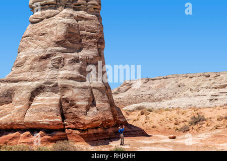 Pieds d'éléphants, près de Monument Valley Banque D'Images
