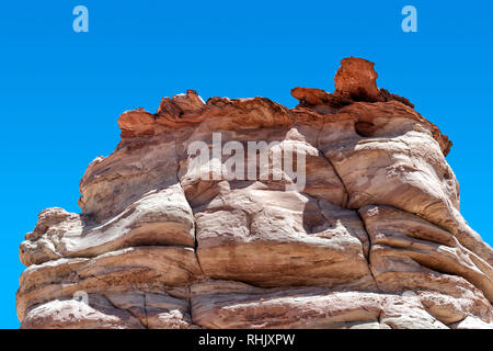 Pieds d'éléphants, près de Monument Valley Banque D'Images