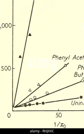 . Sciences biophysiques. La biophysique. 17:4/ cinétique enzymatique des réactions hydrolytiques 331 Cette équation indique que la vitesse maximale obtenue sera moins de Vm&amp;x même si seulement une trace de l'inhibiteur x' est présent ; il est illustré à la Figure 10b. D'autres types d'inhibiteurs ont été trouvés et étudiés. Par exemple, certains peuvent réagir avec l'ES mais pas avec E. 1 500 Propionate phényle A. phényl acétate phényl- Buiyrate 6 désinhibée - T AVEC CO a - A A O - une curieuse -O 1 i 100 20 40 "'A (a) N2 (b) Figure 10. (A) l'inhibition compétitive de l'hydrolyse de l'carboxybenzoxyglycyl phenyla-DL- Banque D'Images