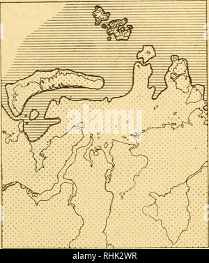 . Biologie des mers de l'URSS. Biologie Marine -- Union soviétique ; l'Hydrologie -- Union soviétique. Fig. 9. Limites de la plus grande mer-trans- en régression Quaternaire (Zachs, 1945, 1948). Fig. 10. Limites de la plus grande mer-regres- sion dans l'ère quaternaire (Zachs, 1495, 1948). complètement migré dans l'eau douce (M. relicta) les formes d'origine, qui habite dans les eaux saumâtres des zones de l'embouchure, sont connus (M. oculata). De ce point de vue la biologie et la répartition de ces poissons sont d'intérêt. Dans le haut Arctique sous-région du bassin de l'Arctique La Gadi- dae, un typique m Banque D'Images