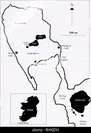 . Le bulletin biologique. Biologie ; zoologie ; biologie ; biologie marine. 146 J 150 BELL ET D. K. A. Barnes. La figure 1. Les sites où la roche éponge et assemblages de falaise ont été échantillonnées dans le Lough Hyne. Réserve Naturelle Marine s'étend sur environ 18 m, et le courant baisse les taux avec la profondeur, tombant à 100 cm s' à 18 m (Fig. 2). Certaines données ont été tirées des publications (Bell et Barnes, 2000a) pour permettre une comparaison entre les assemblages d'éponge de différents habitats dans le Lough Hyne. Ces données, qui ont été inclus dans l'analyse, préoccupé d'une éponge vivant dans les assemblages de tensioactifs incliné et vertical Banque D'Images