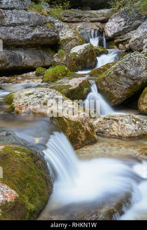 Torrente Boite, près de Cortina d'Ampezzo, Dolomites, Veneto, Italie Banque D'Images