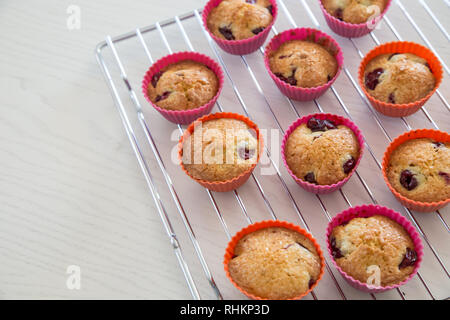 Petits gâteaux faits maison avec cherry, muffins sur une grille sur un tableau blanc. Banque D'Images