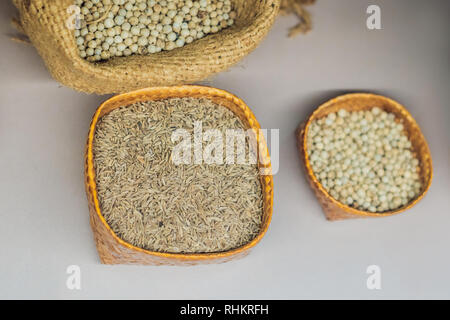 Différents types d'épices de la cuisine asiatique malais dans des sacs Banque D'Images
