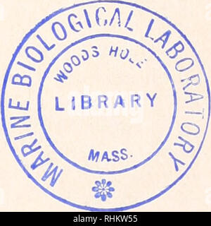 . Le bulletin biologique. Biologie ; zoologie ; biologie ; biologie marine. Le BIOLOGICAL BULLETIN PUBLIÉ PAR LE LABORATOIRE DE BIOLOGIE MARINE DE RÉDACTION JOHN M. ANDERSON, Université de Cornell ARTHUR L. COLWIN, Queens College, New York, Donald P. COSTELLO, Université de Caroline du Nord PHILIP B. DUNHAM, Syracuse University CATHERINE HENLEY, Université de Caroline du Nord MEREDITH L. JONES, Smithsonian Institution Robert K. JOSEPHSON, Université de Californie, Irvine F. H. RUDDLE, Yale University BERTA SCHARRER, Albert Einstein College of Medicine MELVIN SPIEGEL, Dartmouth College STEPHEN A. WAINWR Banque D'Images