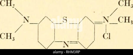 . Les taches biologiques, un manuel sur la nature et de l'utilisation des colorants utilisés dans le laboratoire d'analyses biologiques. Les taches et les taches (microscopie électronique). Il n'est plus utilisé comme teinture textile, et est très soigneusement pour être distingué de bleu de thionine (Ch. I. N° 926) qui est connu pour l'échange et est parfois fourni à la place du colorant souhaité lorsque est ordonné. thionine Est un des plus utiles de thionine dye pour travaux histologiques en raison de ses propriétés metachromatic, c'est sa capacité à donner des couleurs différentes aux différentes structures cytologique ou histologique. C'est une très précieuse d'une chromatine Banque D'Images