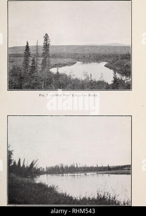 . Une reconnaissance biologique de la base de la péninsule d'Alaska. Zoologie de l'Alaska. La faune de l'Amérique du Nord, n° 24. C. la plaque. Fig. 2.-Chulitna River. Picea canadensis sapée par jour.. Veuillez noter que ces images sont extraites de la page numérisée des images qui peuvent avoir été retouchées numériquement pour plus de lisibilité - coloration et l'aspect de ces illustrations ne peut pas parfaitement ressembler à l'œuvre originale.. Osgood, Wilfred Hudson, 1875-1947. Washington, Government Printing Office Banque D'Images