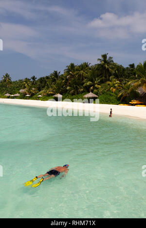 Plongée Maldives - le tourisme de la plongée avec tuba au large de la plage, Veligandu Island, atoll de Rasdhoo, les Maldives Asie Banque D'Images