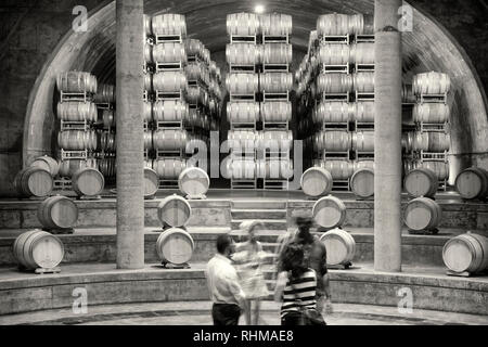 Les images de l'intérieur de la Bodega Salentein Winery au sud de Mendoza, Argentine. Banque D'Images